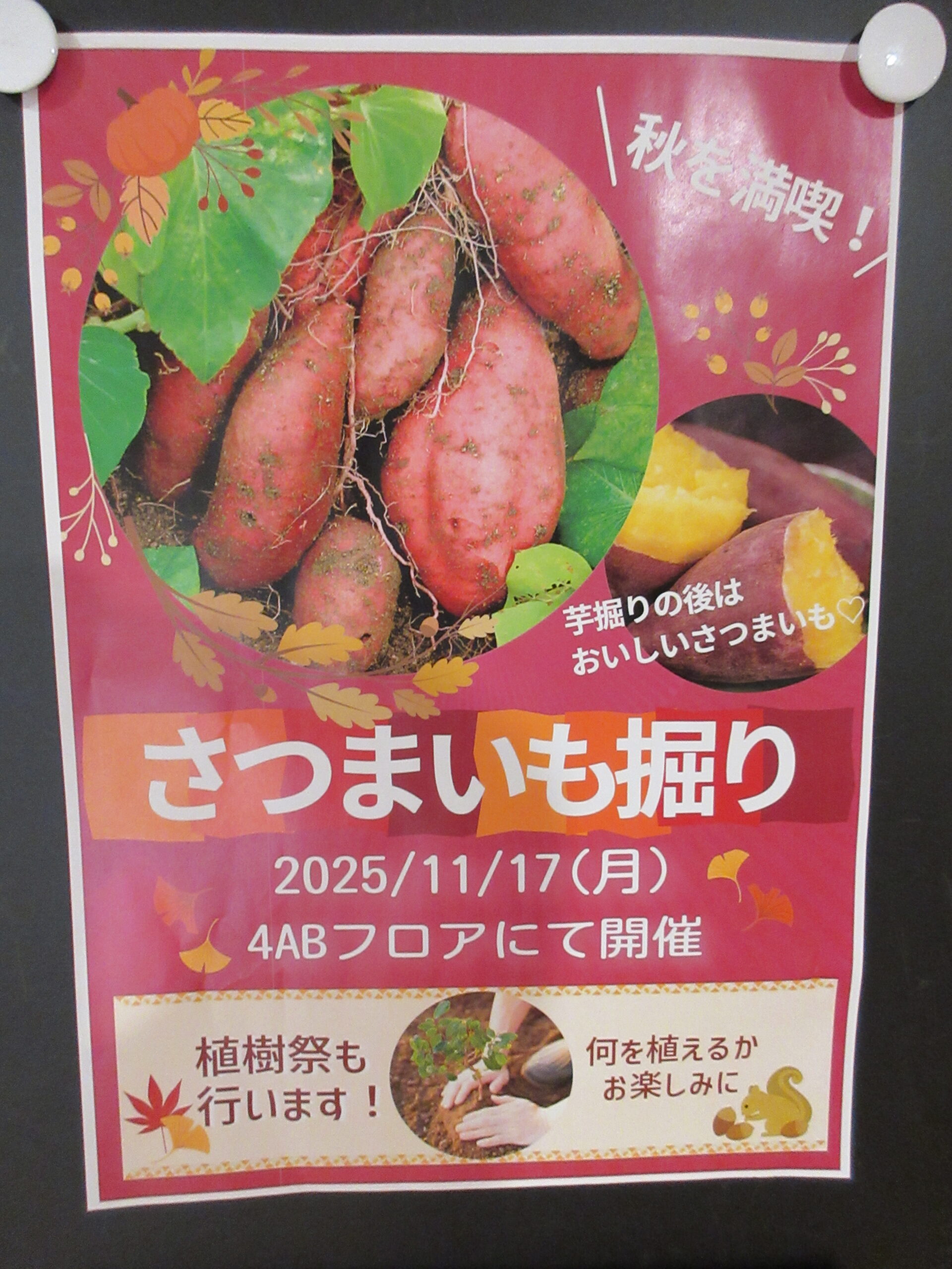 ある日のひとコマ～4F ABの風景・11月(今回はイベントだよ